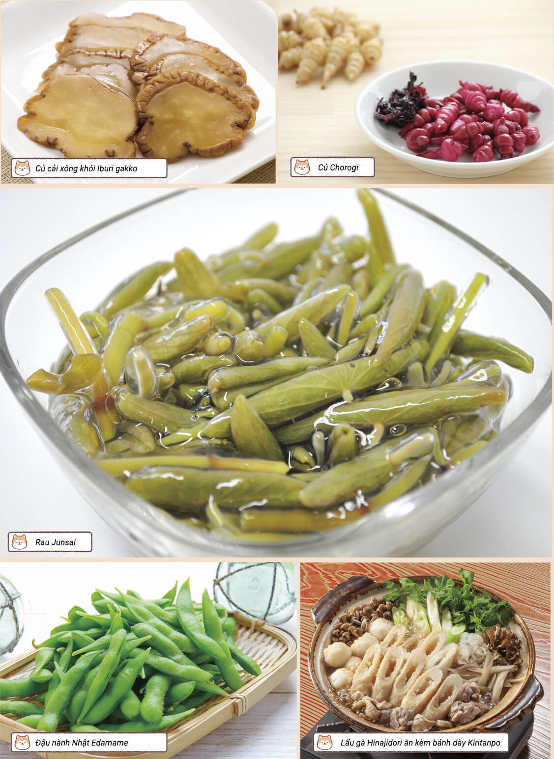 Nguyên liệu phong phú từ nông sản đến chăn nuôi